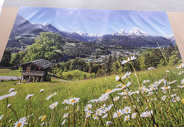Banner Druck